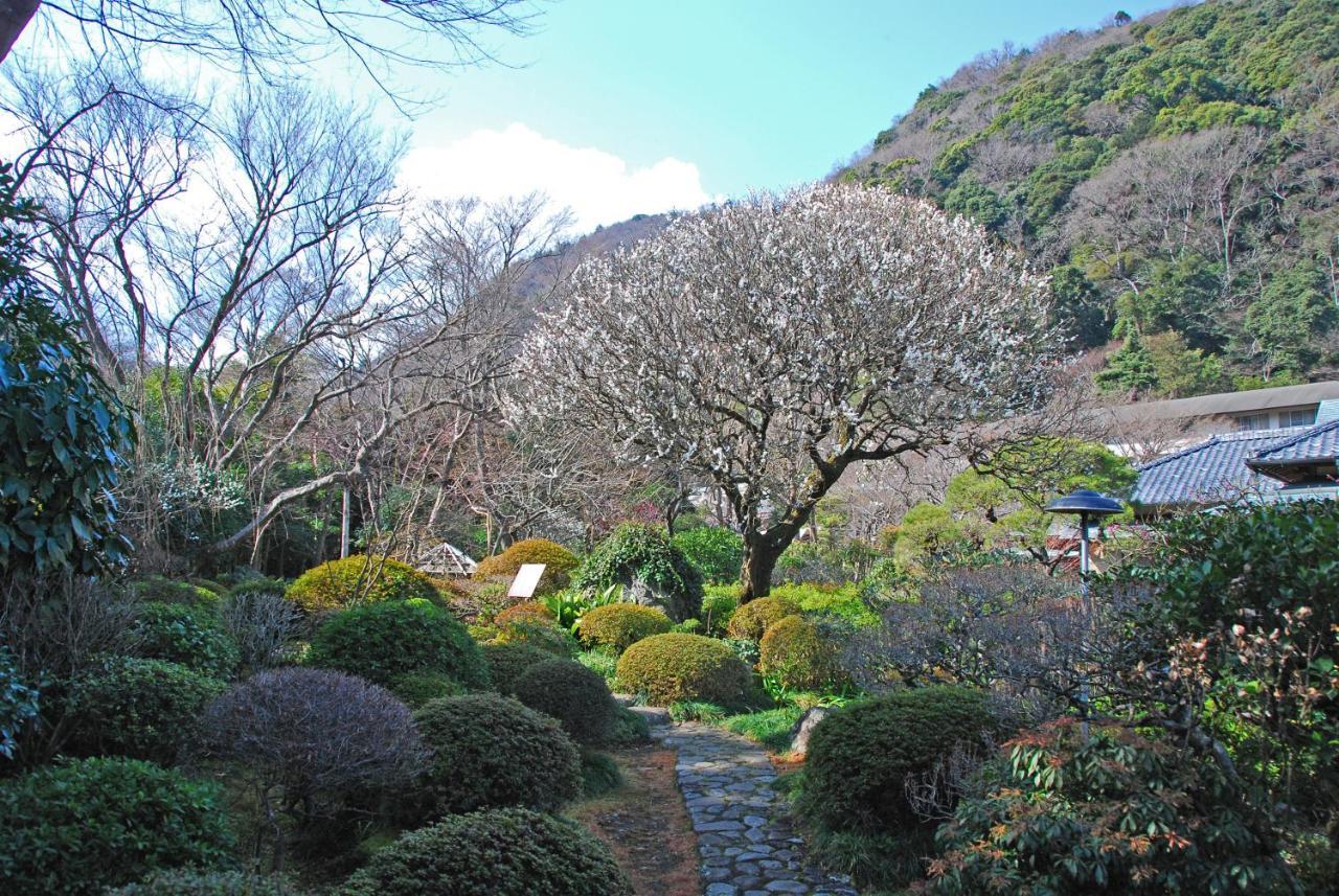 Yoshiike Ryokan هاكوني المظهر الخارجي الصورة